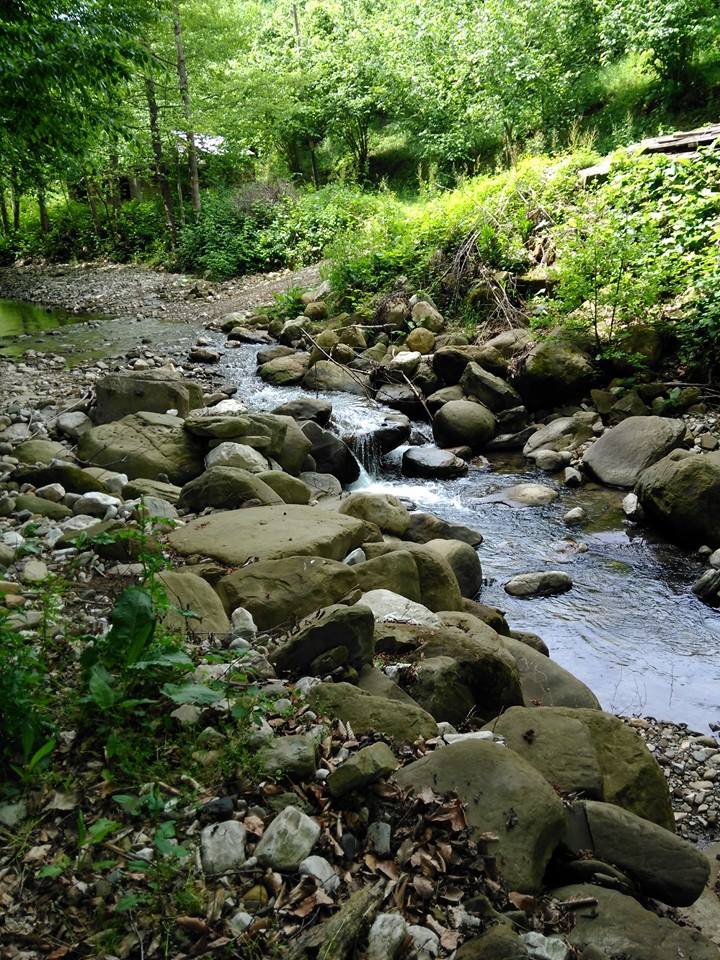 Kocaali Yanıksayvant Köyü Resimleri 8