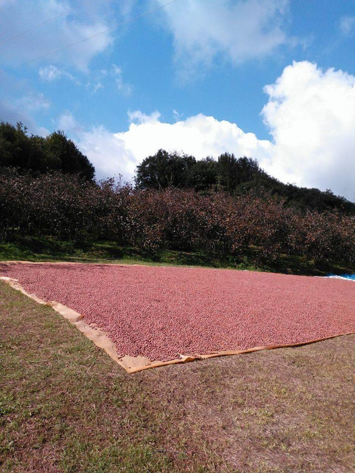 Kocaali Yanıksayvant Köyü Resimleri 9