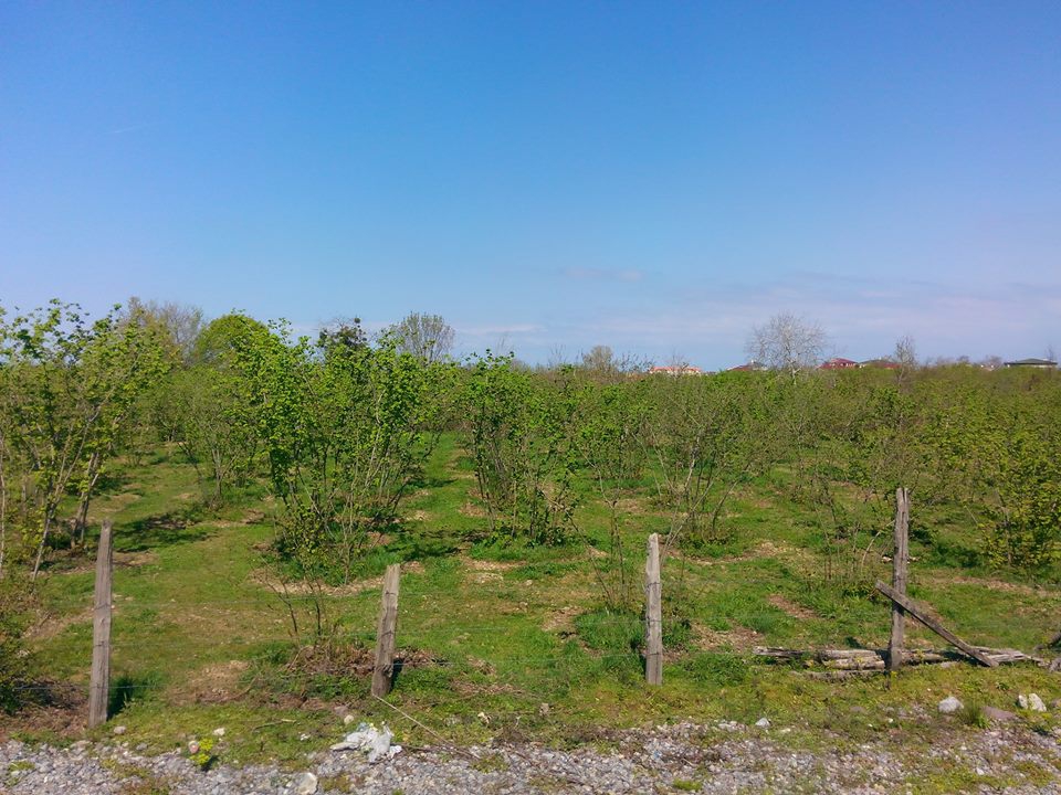 Kocaali Yayla Köyü Resimleri 1