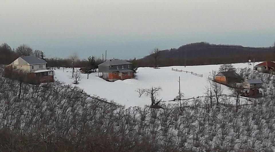 Kocaali Yayla Köyü Resimleri 4