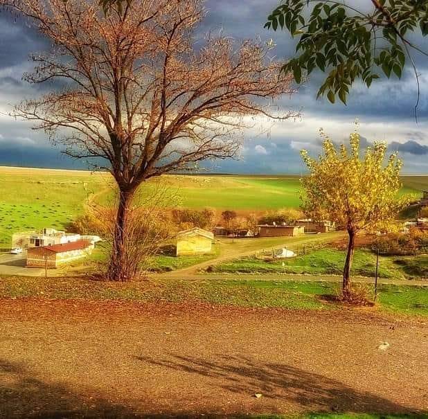 Beşiri Esence Köyü Resimleri 3