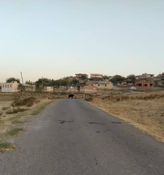 Beşiri Esence Köyü Resimleri 5