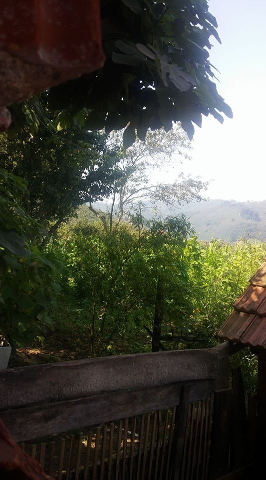 Kocaali Yenimahalle Köyü Resimleri 2