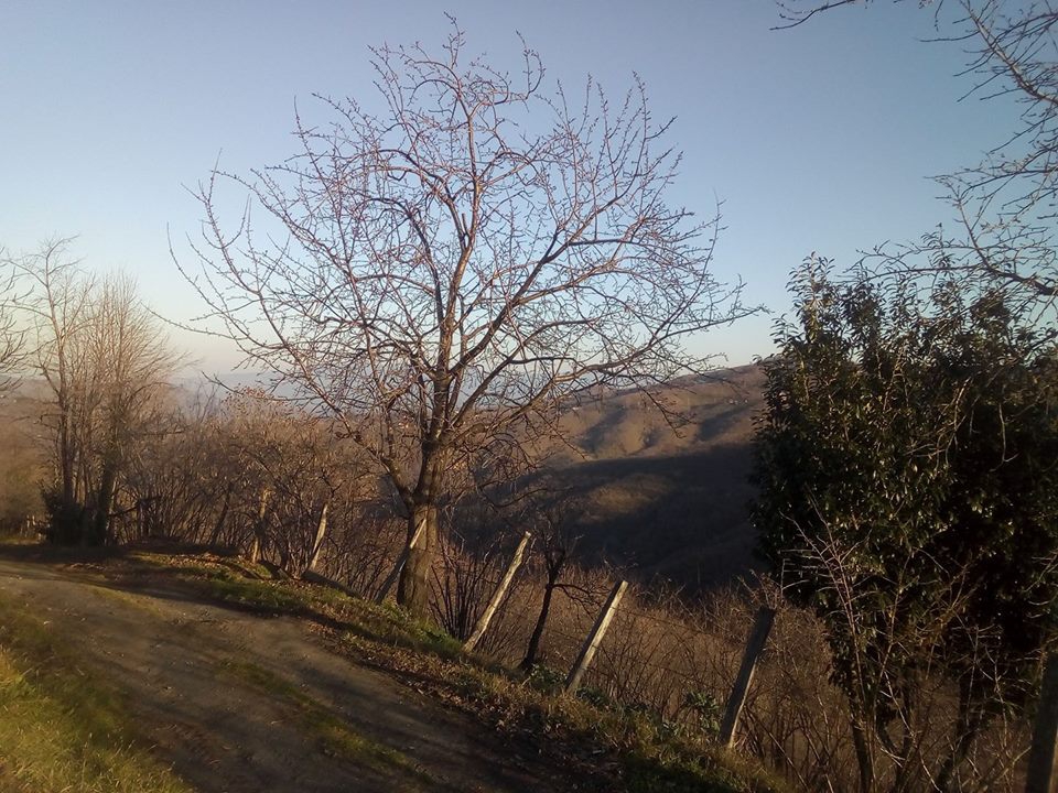 Kocaali Yenimahalle Köyü Resimleri 3