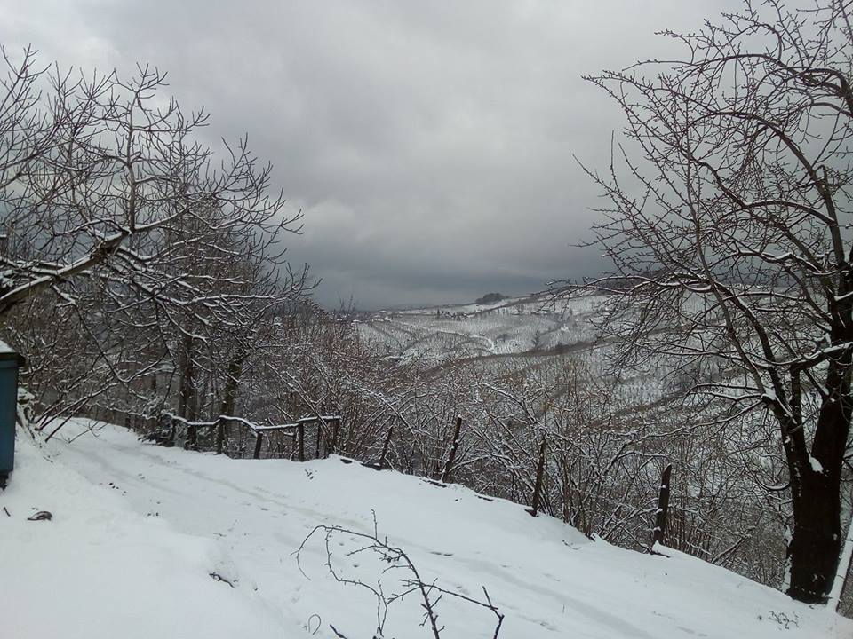 Kocaali Yenimahalle Köyü Resimleri 4