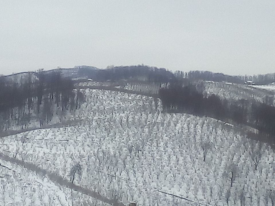 Kocaali Yenimahalle Köyü Resimleri 6