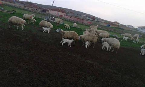 Kulu Şerefli Köyü Resimleri 1