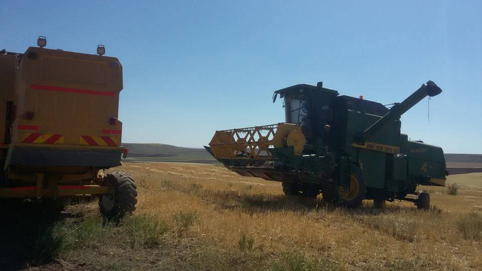 Kulu Şerefli Köyü Resimleri 4