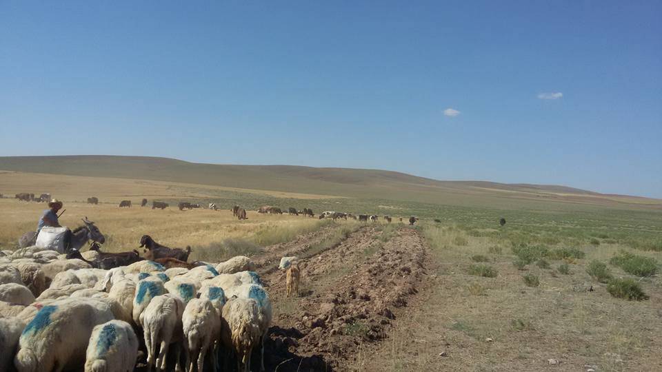 Kulu Şerefli Köyü Resimleri 6