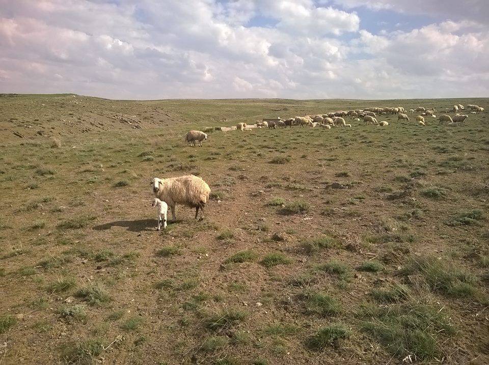 Kulu Tavlıören Köyü Resimleri 4