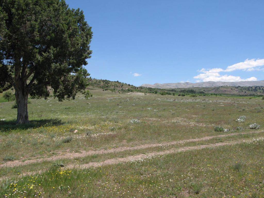 Çavdır Karaköy Köyü Resimleri 6