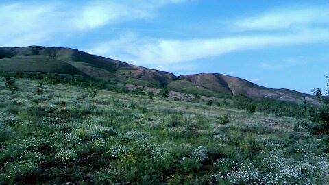 Beşiri Kumçay Köyü Resimleri 4