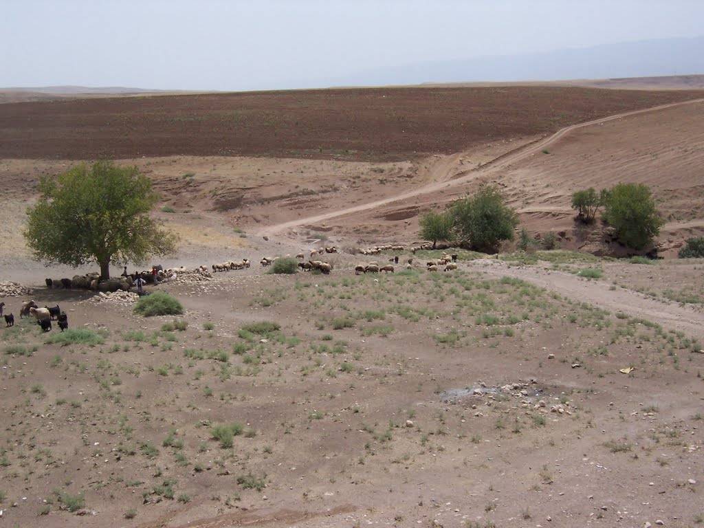 Beşiri Kurukavak Köyü Resimleri 1