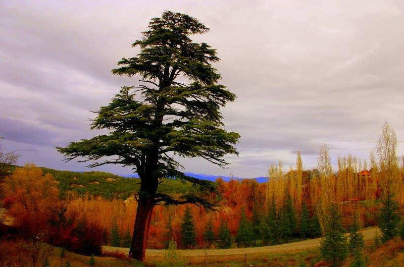 Gölhisar Evciler Köyü Resimleri 1