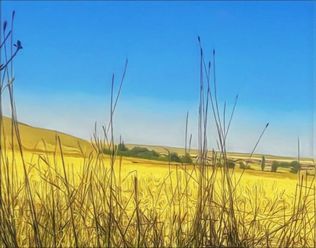 Kulu Yaraşlı Köyü Resimleri 1