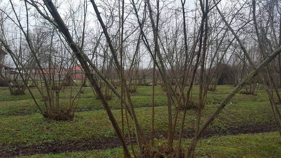 Karapürçek Yazılıgürgen Köyü Resimleri 2