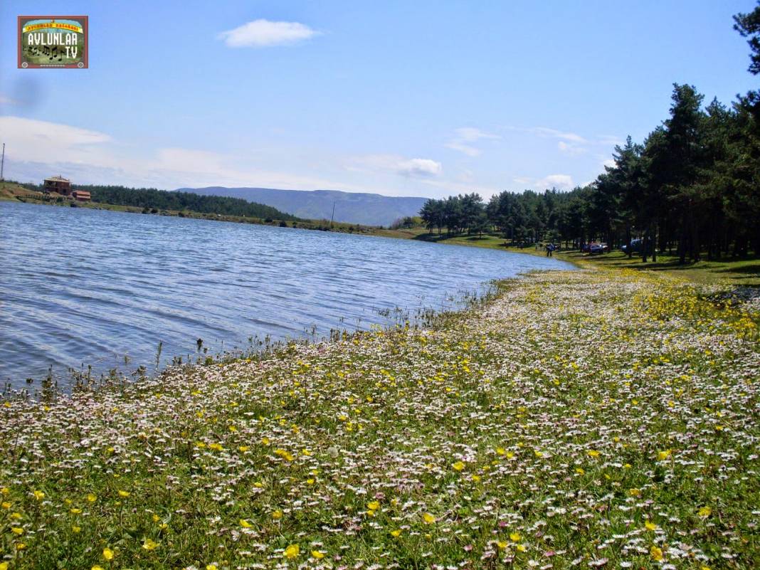 Tokat Avlunlar Beldesi Resimleri 1