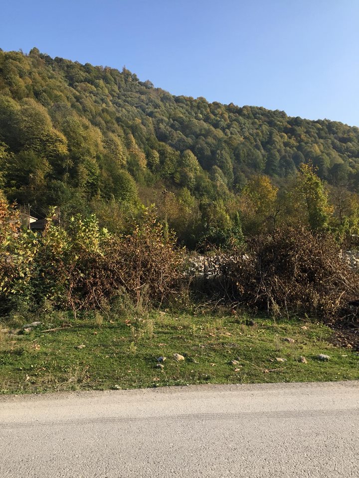 Karapürçek Yüksel Köyü Resimleri 2