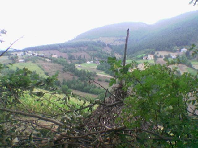 Tokat Yağmurlu Beldesi Resimleri 4