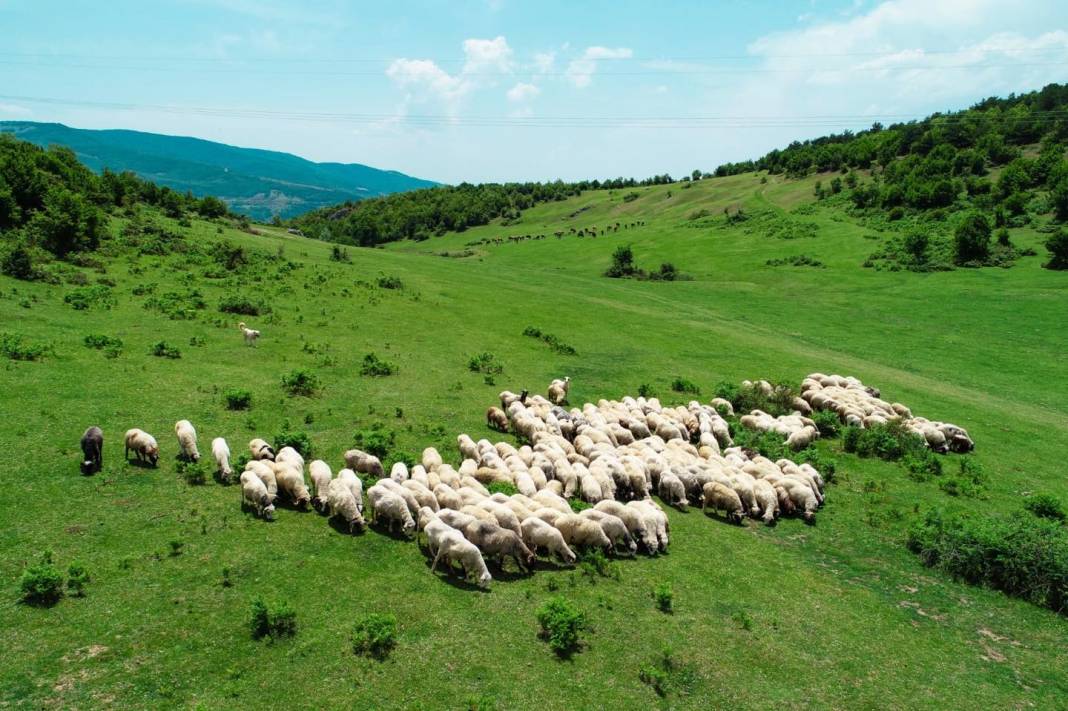 Tokat Yağmurlu Beldesi Resimleri 7