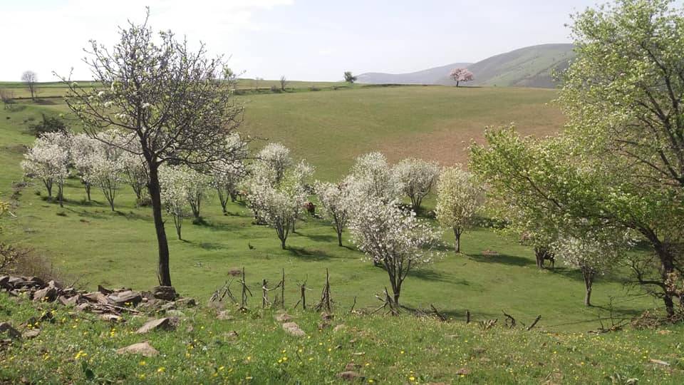 Tokat Ahmetalan Köyü Resimleri 11