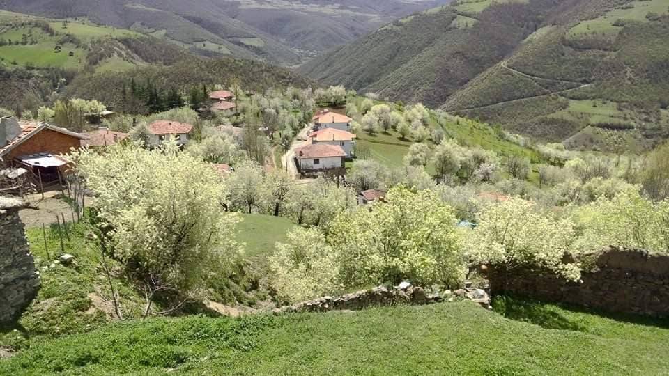Tokat Ahmetalan Köyü Resimleri 41