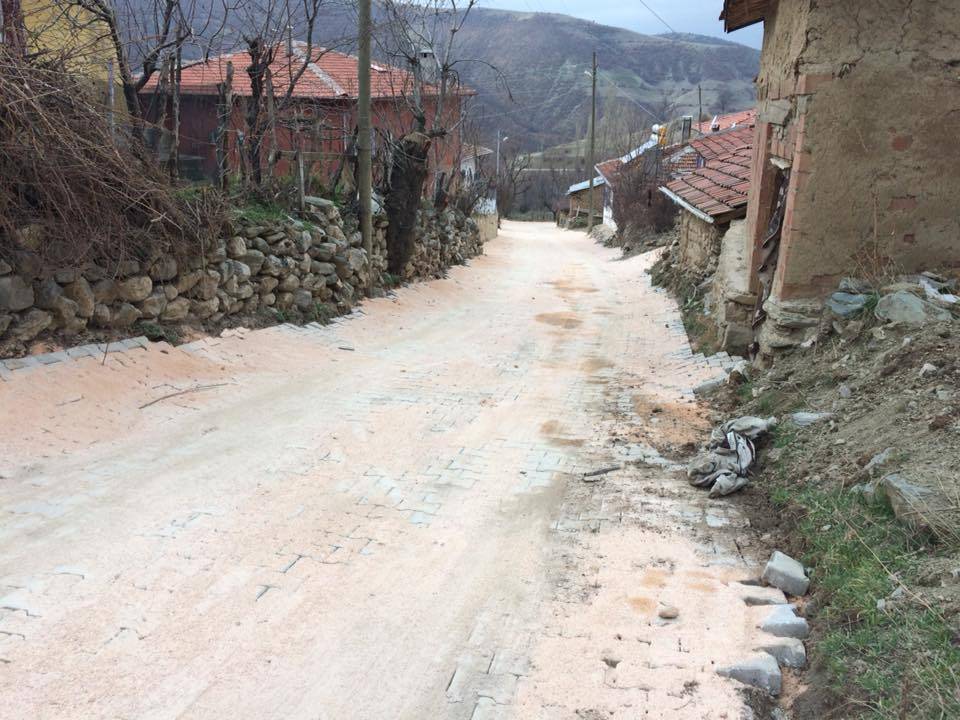 Tokat Ahmetalan Köyü Resimleri 8