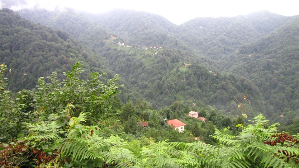 Çamlıhemşin Boğaziçi Köyü Resimleri 3