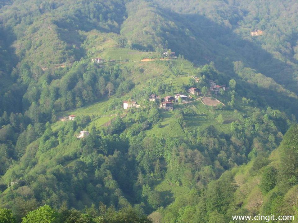 Çamlıhemşin Boğaziçi Köyü Resimleri 5