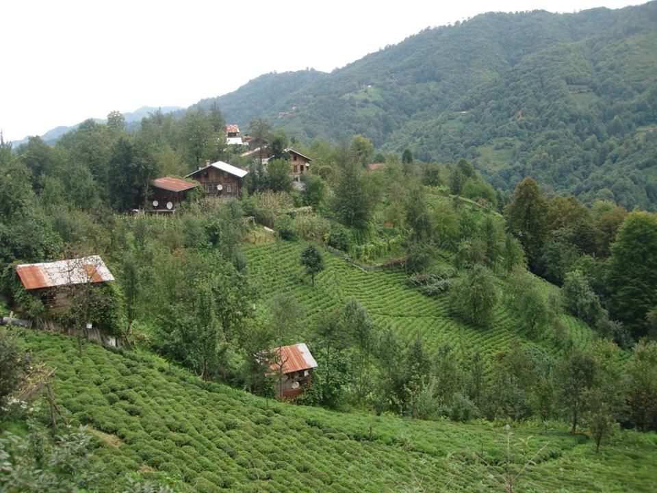 Çamlıhemşin Boğaziçi Köyü Resimleri 9