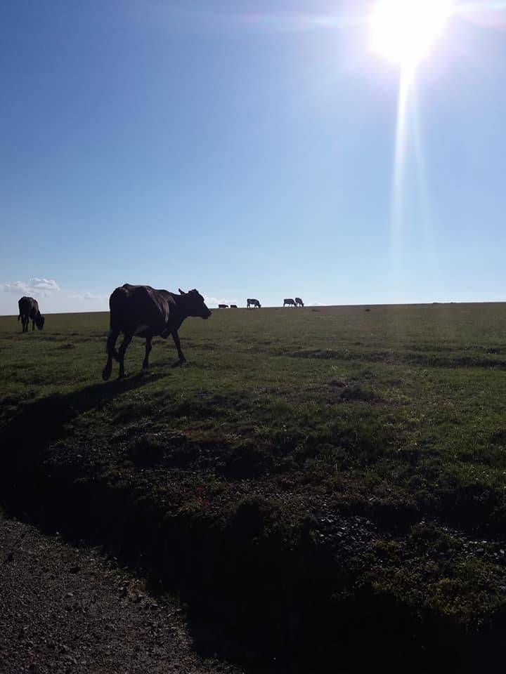 Tokat Akbelen Köyü Resimleri 6