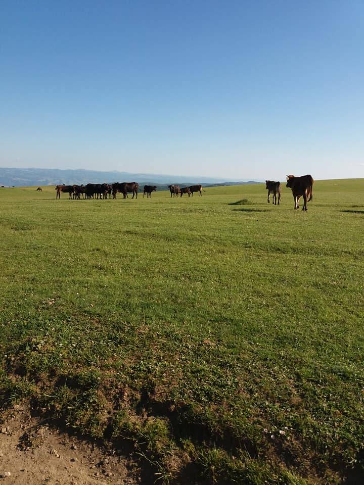 Tokat Akbelen Köyü Resimleri 7