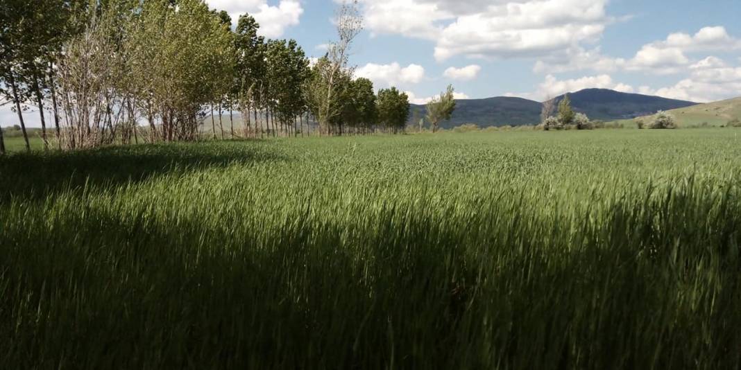 Tokat Aktepe Köyü Resimleri 5