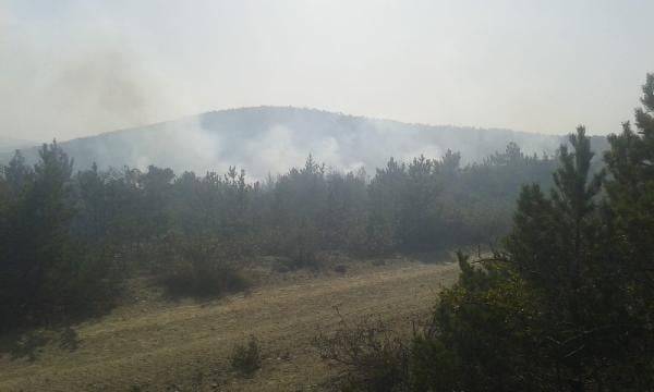 Tokat Aktepe Köyü Resimleri 8
