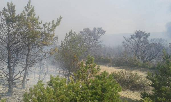 Tokat Aktepe Köyü Resimleri 9
