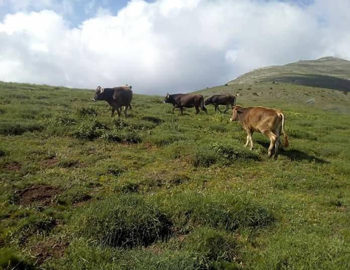 Tokat Akyurt Köyü Resimleri 10