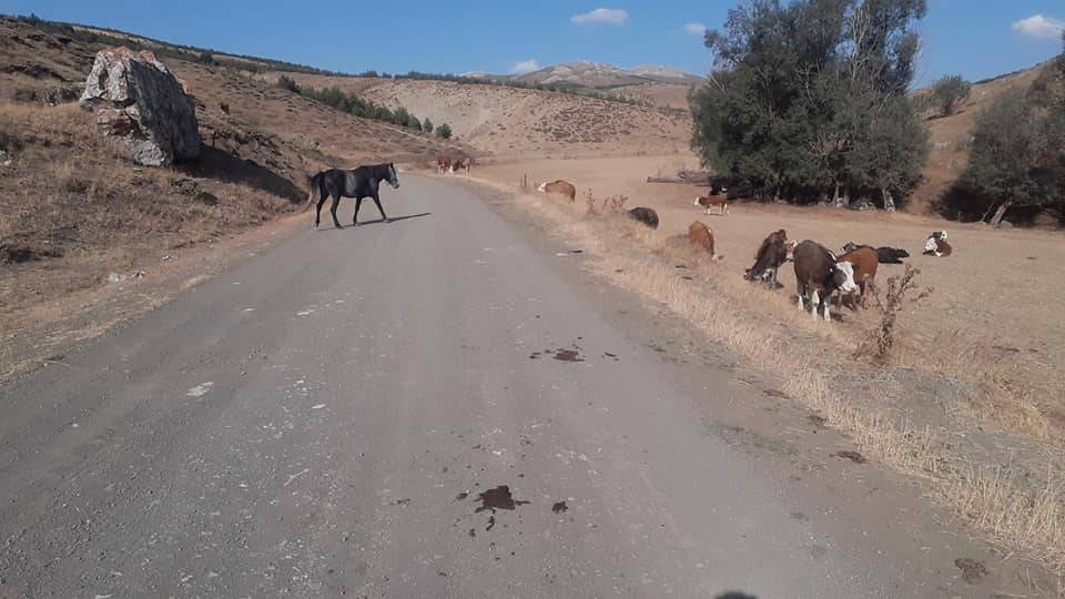 Tokat Akyurt Köyü Resimleri 11