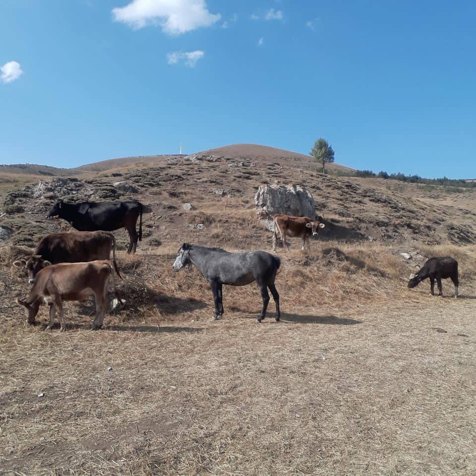 Tokat Akyurt Köyü Resimleri 12