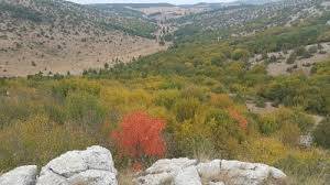 Tokat Alanköy Köyü Resimleri 6