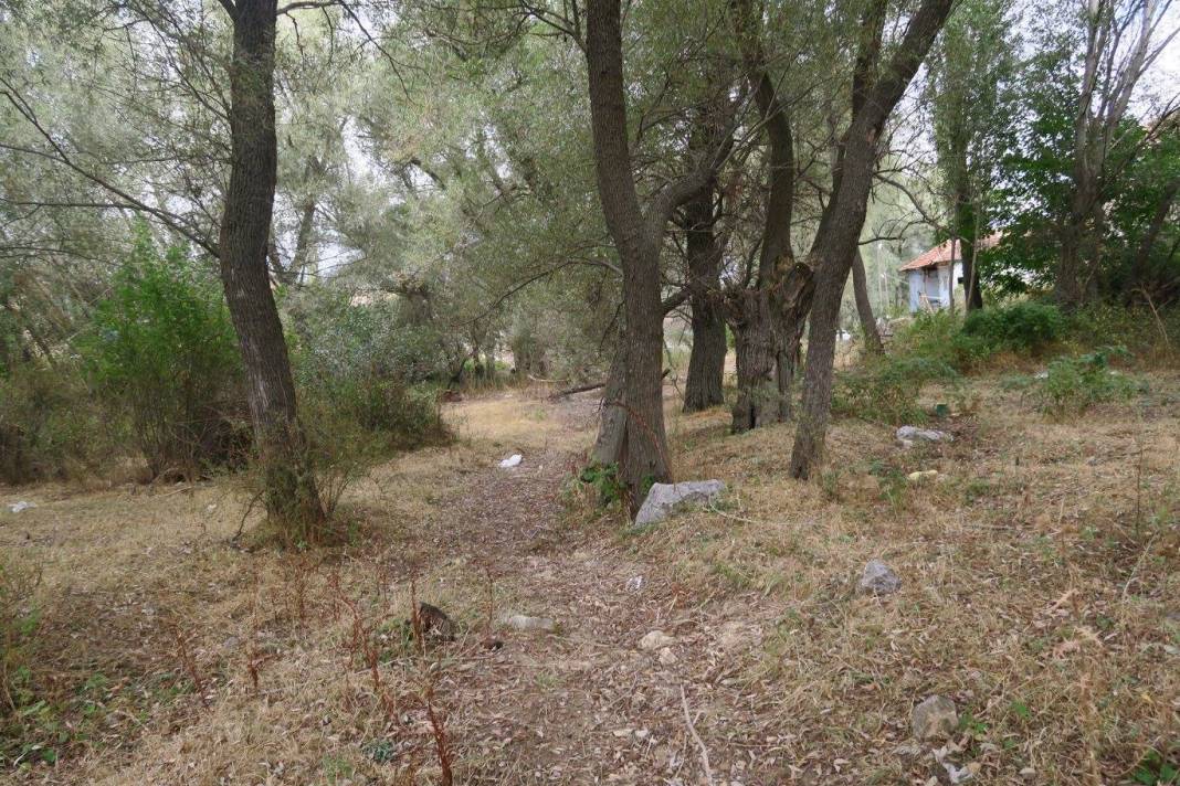 Tokat Avşarağzı Köyü Resimleri 2