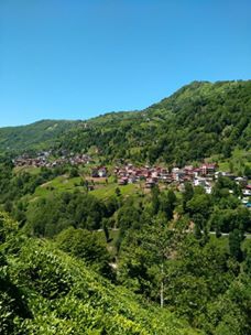 Çamlıhemşin Çayırdüzü Köyü Resimleri 6