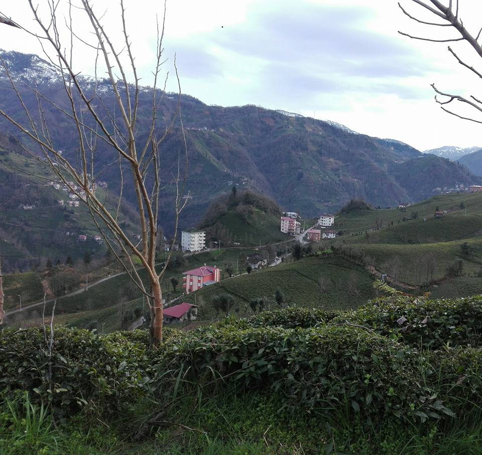 Çamlıhemşin Dikkaya Köyü Resimleri 1