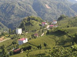 Çamlıhemşin Dikkaya Köyü Resimleri 2