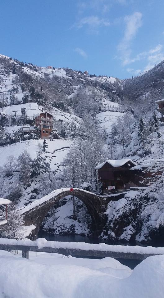 Çamlıhemşin Dikkaya Köyü Resimleri 7