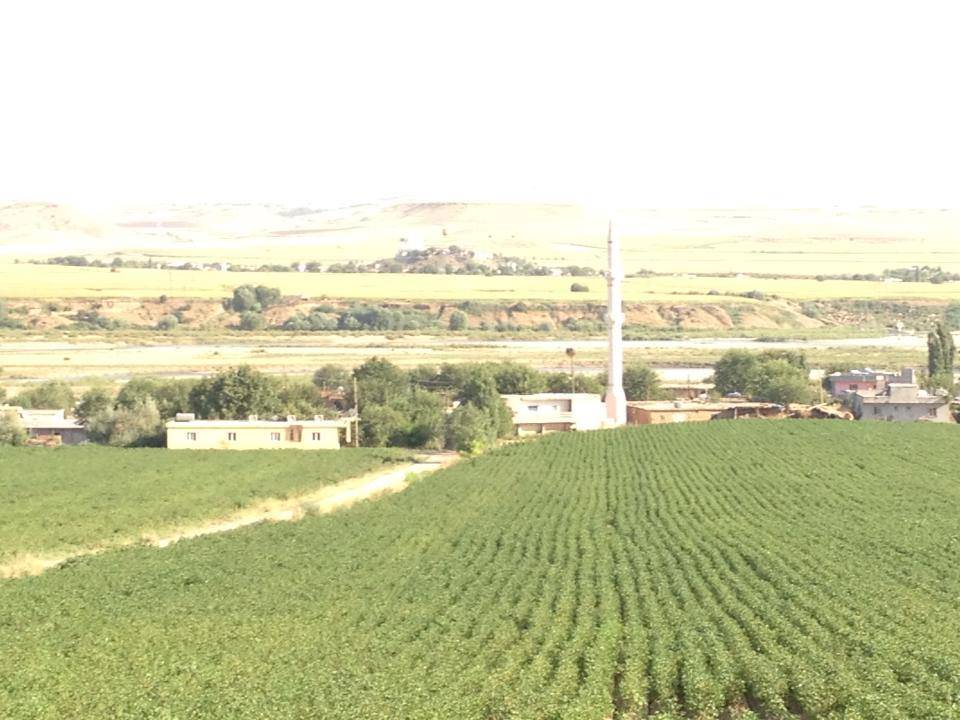 Beşiri Tekağaç Köyü Resimleri 1