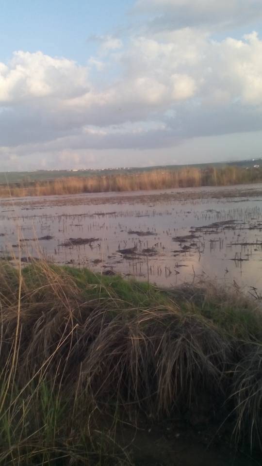 Beşiri Tekağaç Köyü Resimleri 11