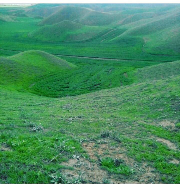 Beşiri Tekağaç Köyü Resimleri 15