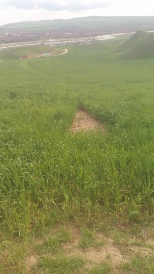 Beşiri Tekağaç Köyü Resimleri 16