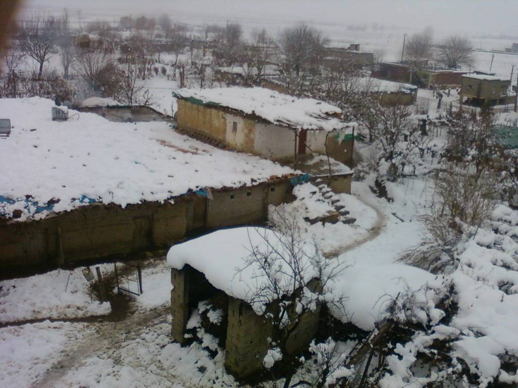 Beşiri Tekağaç Köyü Resimleri 2