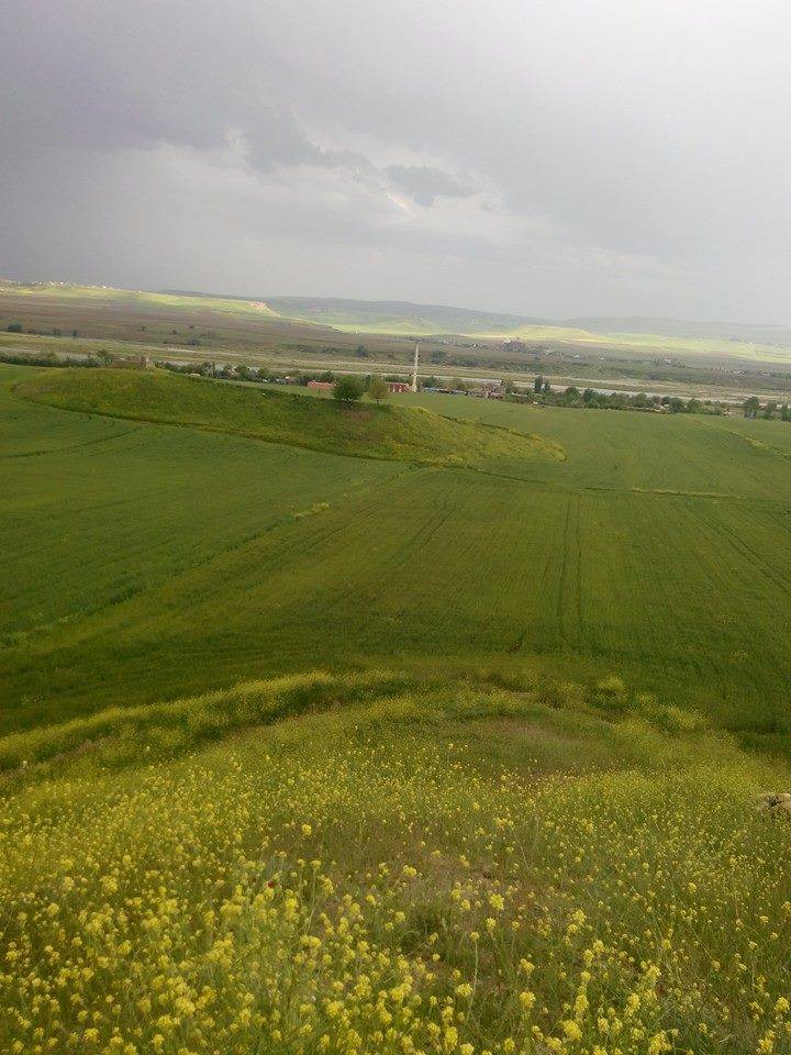 Beşiri Tekağaç Köyü Resimleri 5